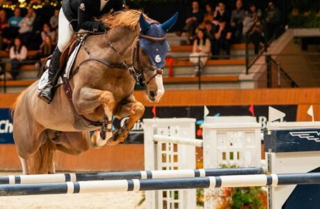 c9769e23 bb91 47c8 a7c7 fb3a8808c708