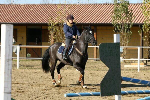 Il galoppo sui cavalletti: tecnica, equilibrio e espressività secondo Reiner e Ingrid Klimke