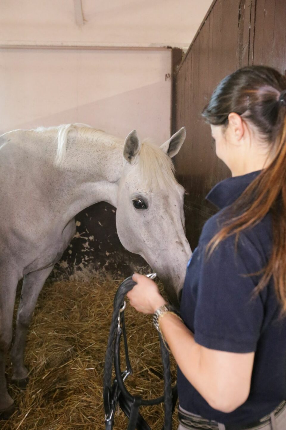 Equitazione, la mindfulness in movimento. L'importanza dell'ascolto profondo.