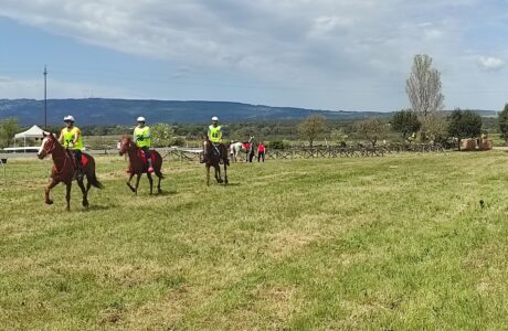 A Tanca Regia la Finale Circuito Asvi Giovani Cavalli – Si gareggia pure per la Coppa Sardegna e il Campionato Sardo.