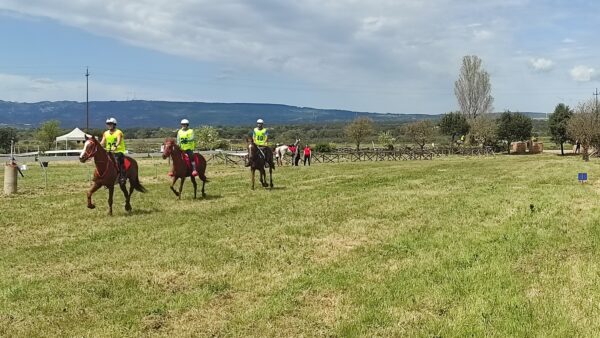 A Tanca Regia la Finale Circuito Asvi Giovani Cavalli – Si gareggia pure per la Coppa Sardegna e il Campionato Sardo.