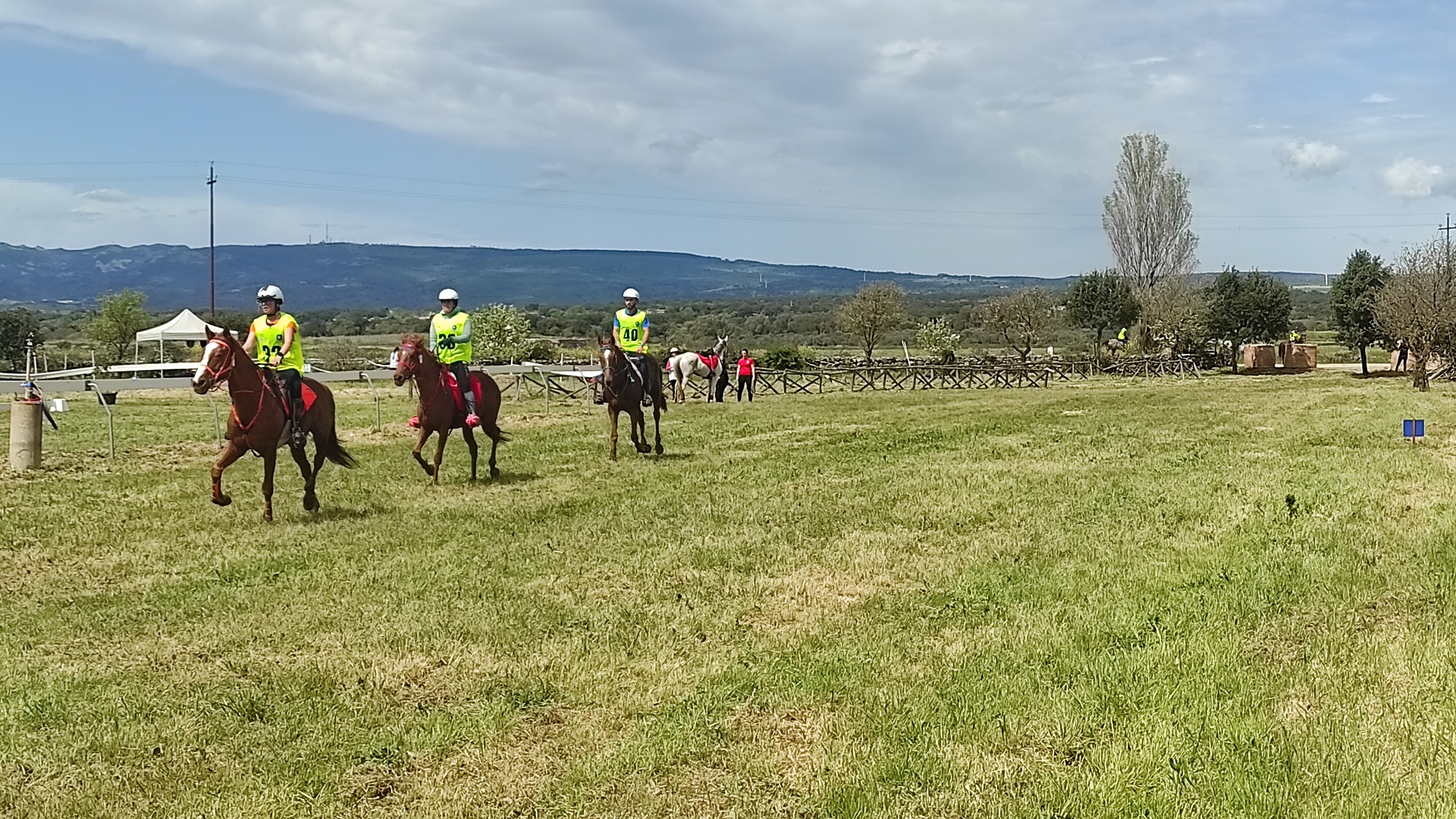 A Tanca Regia la Finale Circuito Asvi Giovani Cavalli – Si gareggia pure per la Coppa Sardegna e il Campionato Sardo.