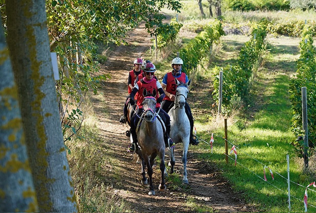 Vittorito ritrova la sua gara: auguri per un sereno Natale, ci vediamo a marzo 2 img 0309