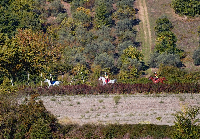 Vittorito ritrova la sua gara: auguri per un sereno Natale, ci vediamo a marzo 3 img 0310