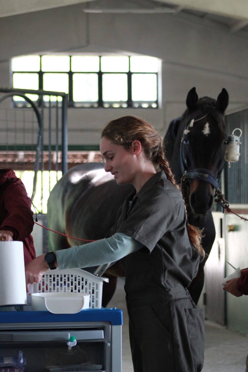 VET Education Program: quando la pratica diventa il vero valore della formazione 3 img 3207