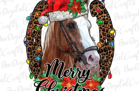 Quando l’inverno profuma di fieno e la magia si misura in battiti di zoccoli