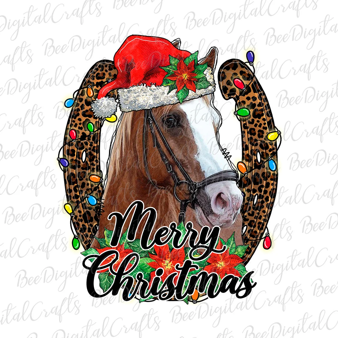 Quando l’inverno profuma di fieno e la magia si misura in battiti di zoccoli