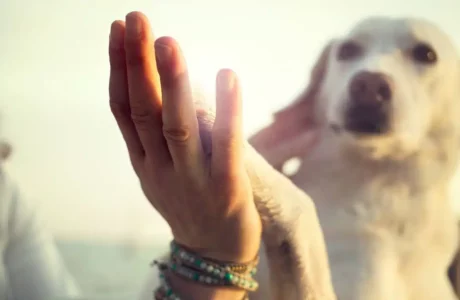 Quando gli animali aiutano a stare meglio.