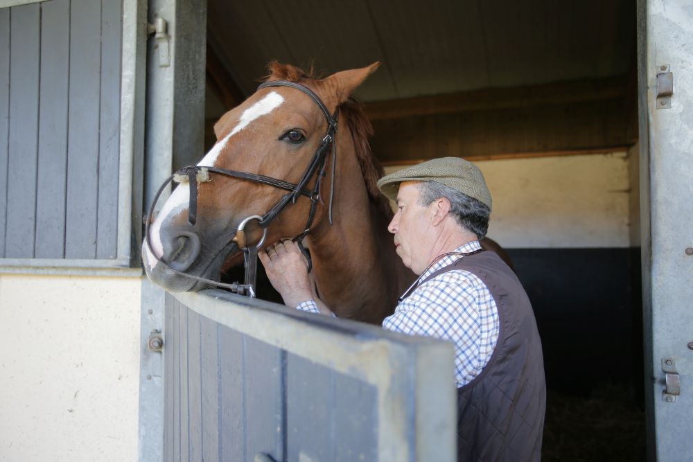 Il benessere del cavallo durante il trasporto.