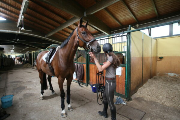Disinfezioni e disinfestazioni per i cavalli