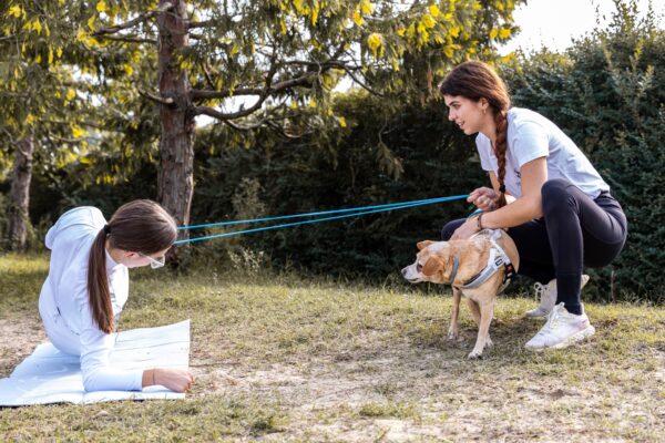 16aaffa1 83a2 4862 aa3a a39c2858f3a0