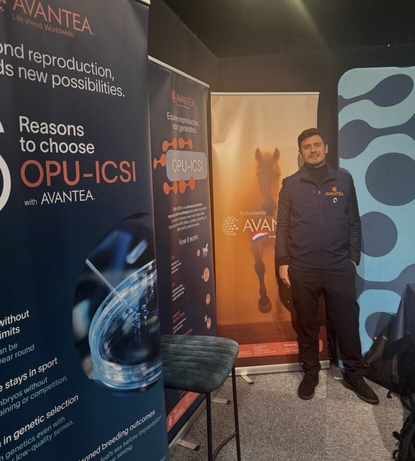 6aac8aa8 f56c 4030 84c2 5c86b4257aa0