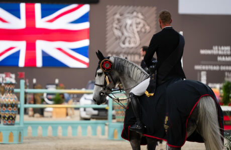 ALSHIRAATOUR FRIDAY ARENA 1 AMEA 1st Calixte Heartbreaker Z Alexander McLean Bertilleprod 3 1