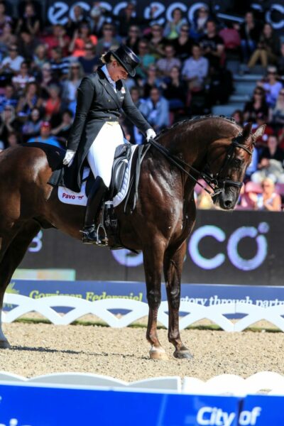 Perché la postura degli arti influenza salute, performance e longevità dell’animale. Gli appiombi.