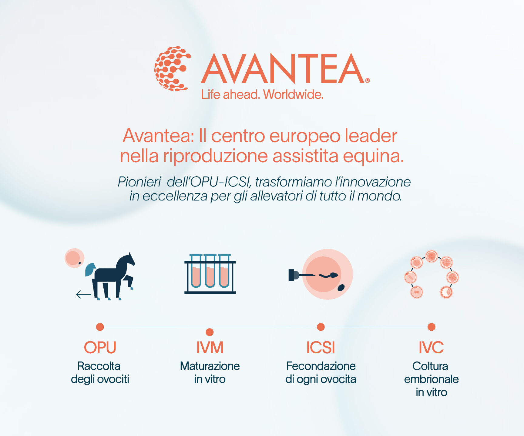 Avantea_PopUp_ITA