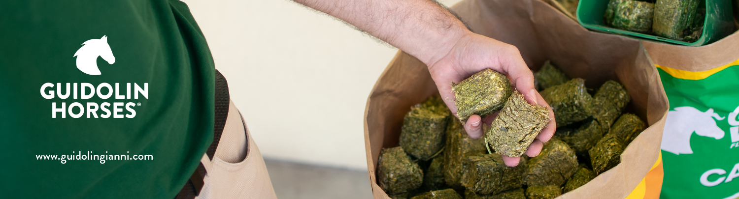 Banner Billboard Guidolin Gianni