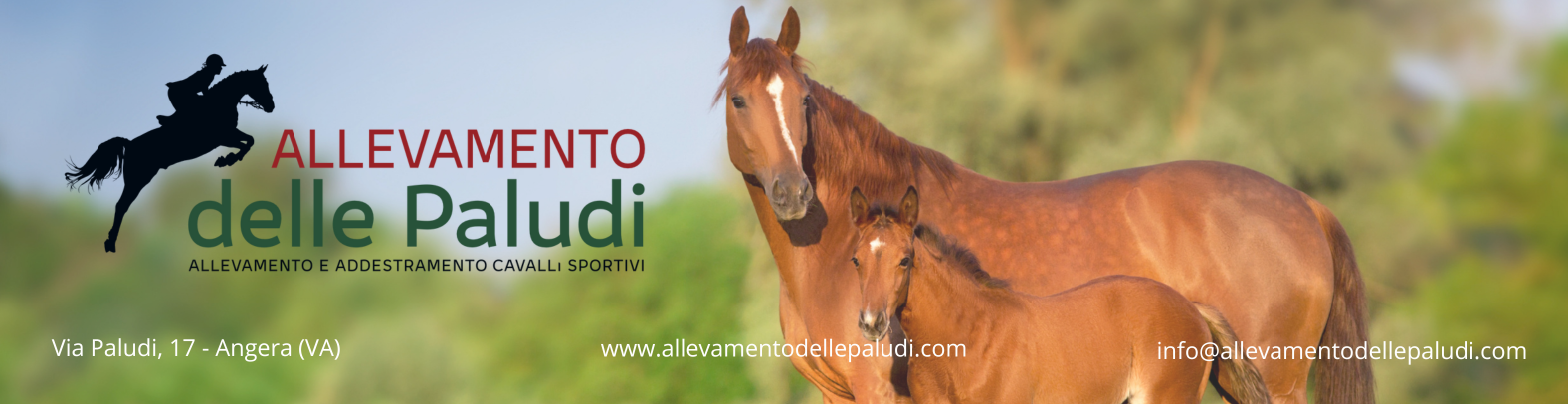 Banner_allevamento delle paludi billboard