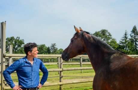 Beligneux-le-Haras-Sebastien-Neyrat