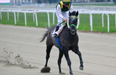 Corsa3_PREMIO RUYSDAEL