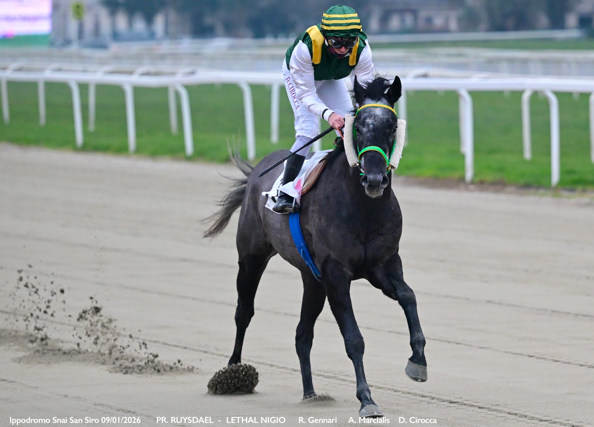 Corsa3_PREMIO RUYSDAEL