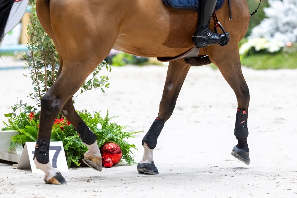 Un regolamento internazionale più chiaro entra in vigore dal 1° gennaio.