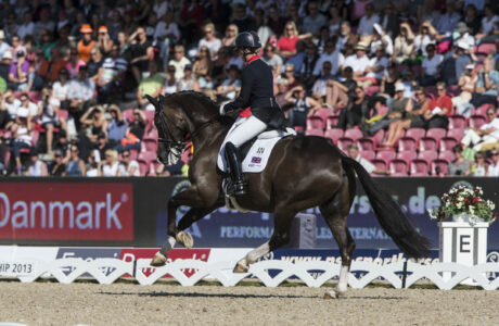 La percentuale dei punti in una gara di dressage, che cos’è e perché è così importante.