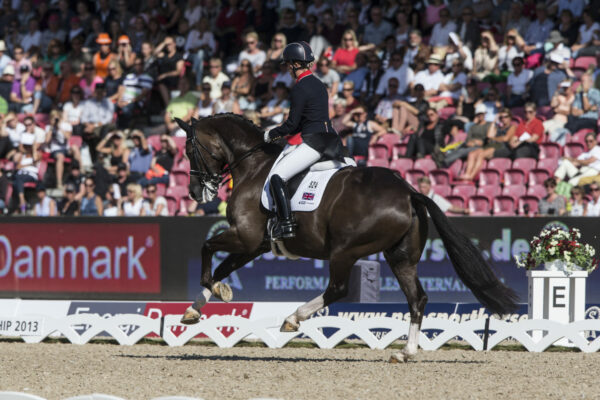 La percentuale dei punti in una gara di dressage, che cos’è e perché è così importante.