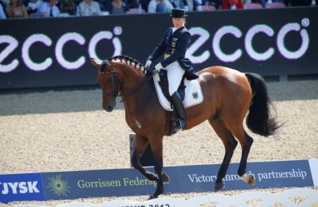 Il lavoro su due piste, la chiave dell’armonia nel dressage.