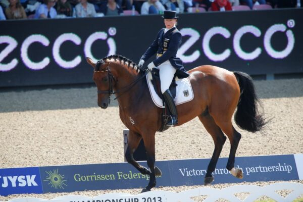 Il lavoro su due piste, la chiave dell’armonia nel dressage.