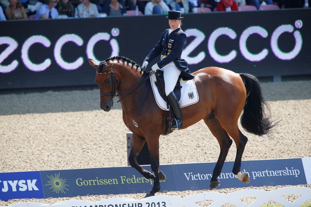 Il lavoro su due piste, la chiave dell’armonia nel dressage.