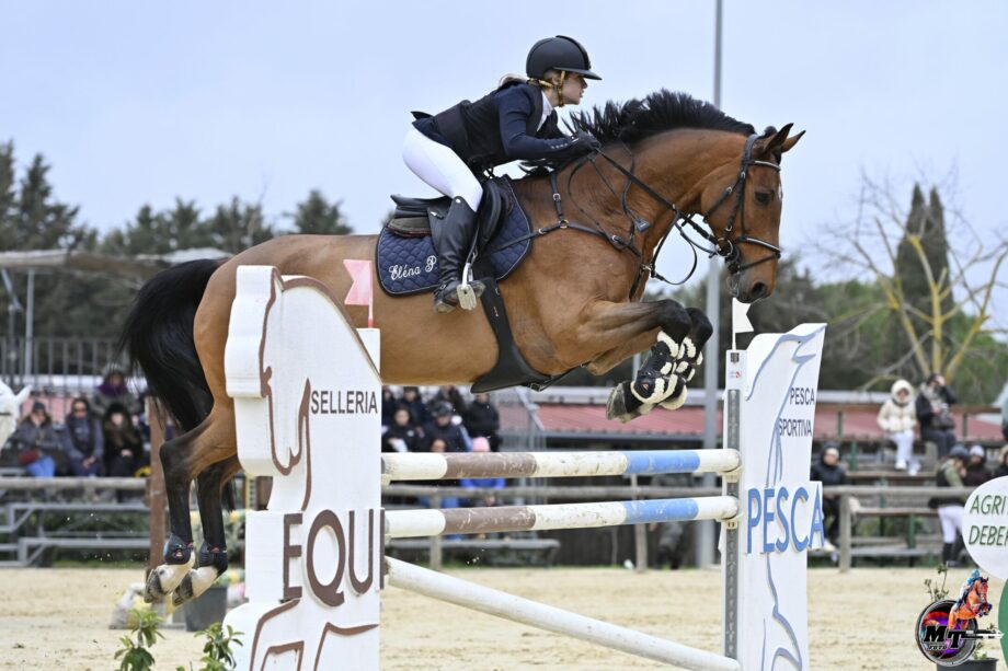 In Puglia, Altamura incorona i Campioni Regionali invernali dal 23 al 25 gennaio 4 Elena Perlini su SIR PRICE VAN OVERIS