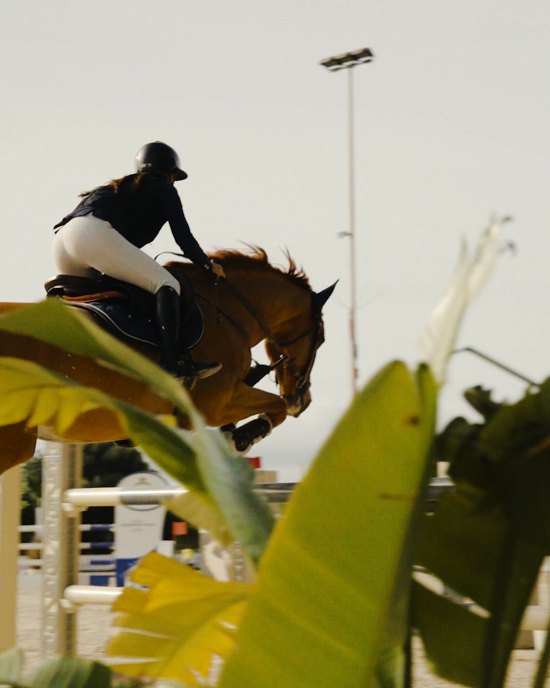 Equistile Campionati regionali invernali Sicilia 2026 2