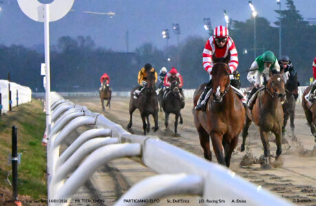 GALOPPO IPPODROMO SNAI SAN SIRO MILANO 2026