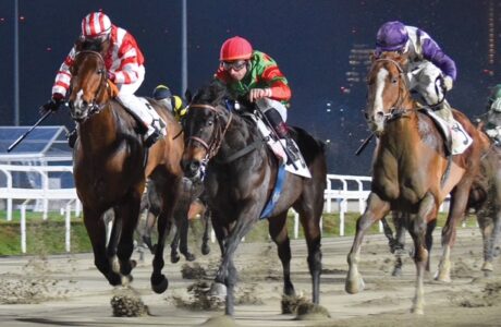 GALOPPO IPPODROMO SNAI SAN SIRO Pista in Sabbia 2025 1