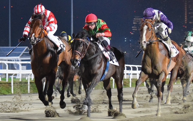 GALOPPO IPPODROMO SNAI SAN SIRO Pista in Sabbia 2025 1