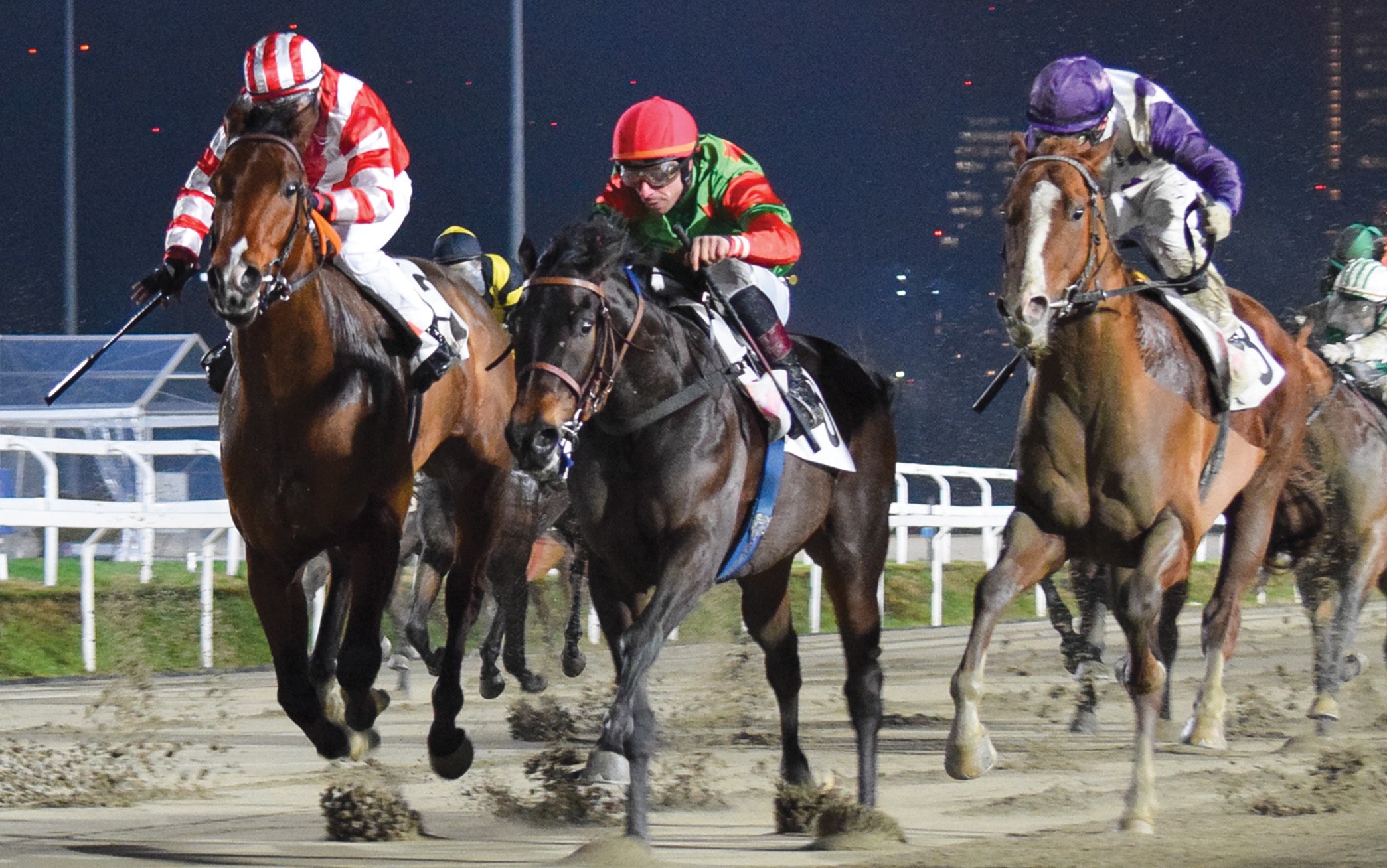 GALOPPO IPPODROMO SNAI SAN SIRO Pista in Sabbia 2025