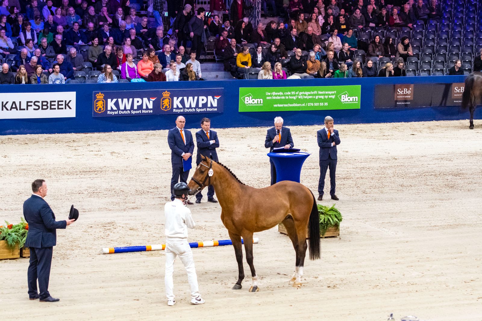 KWPN Stallion Show 2026