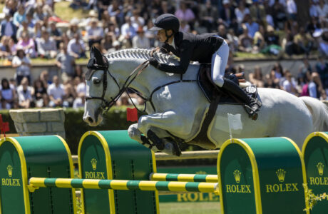 Il vicitore del titolo KWPN Jumping Horse of the Year 2024 Imagine, figlio di Cassini Gold, montato da Kim Emmen