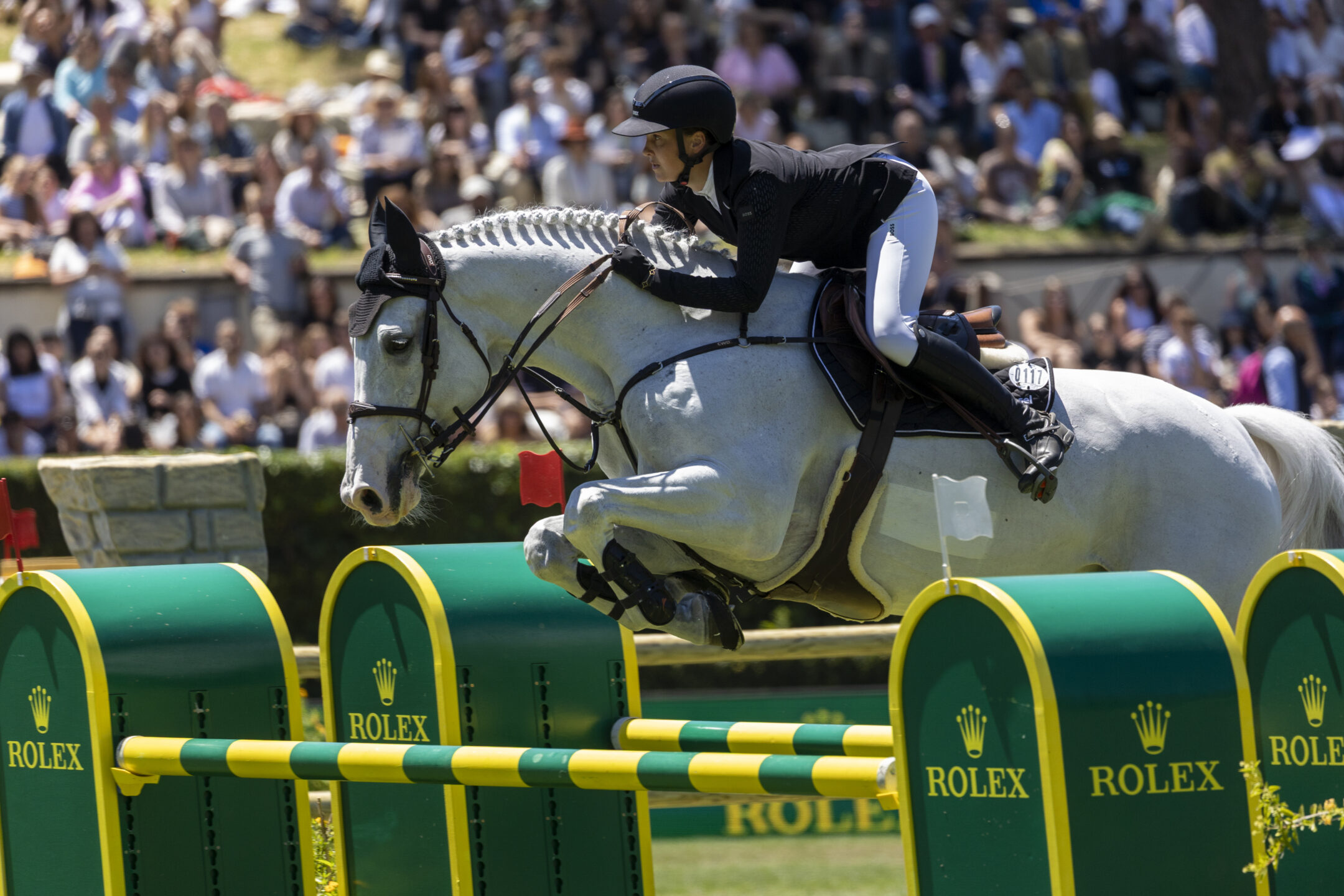 Il vicitore del titolo KWPN Jumping Horse of the Year 2024 Imagine, figlio di Cassini Gold, montato da Kim Emmen