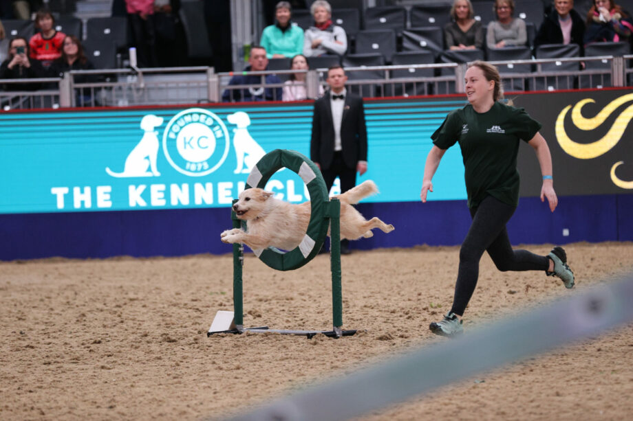 LHKIHS Dog Agility 1