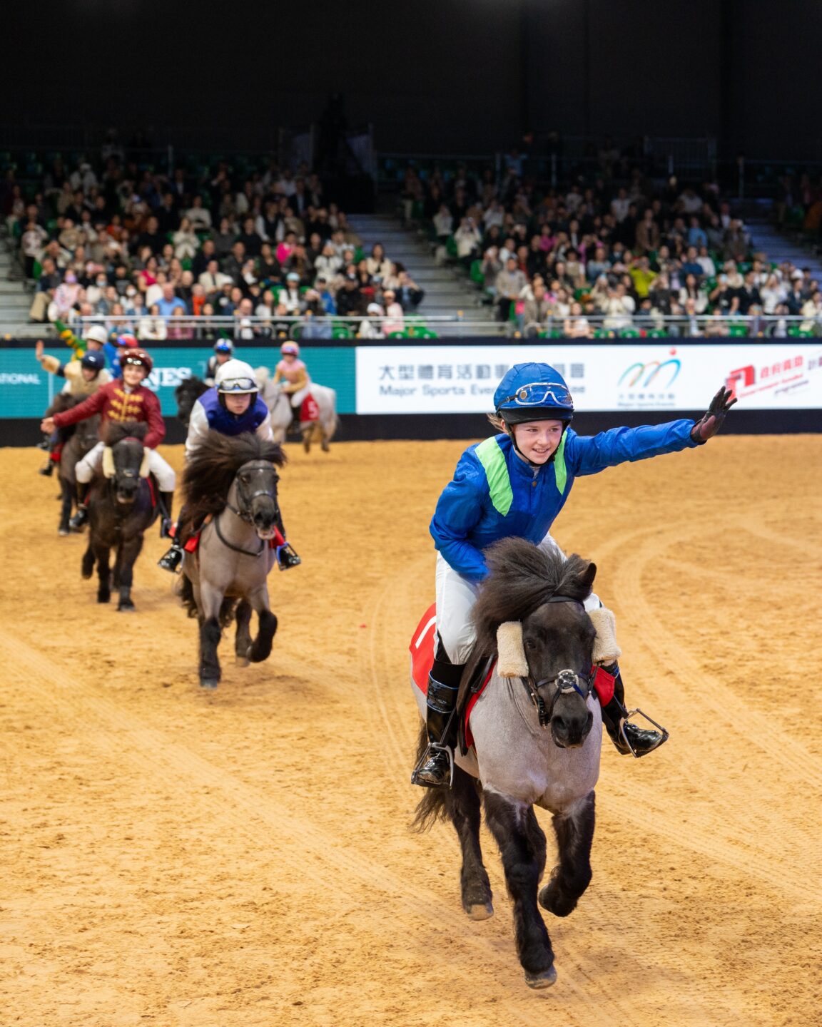 LHKIHS Shetland Pony Grand National Image Credit LHKIHS