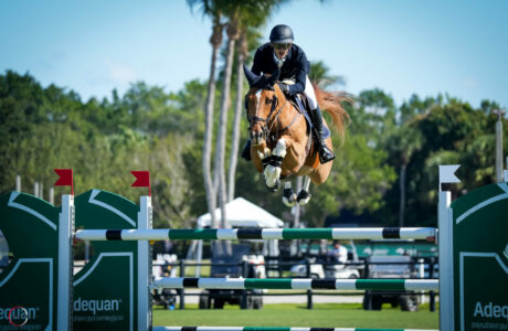 Mark Bluman & Landon