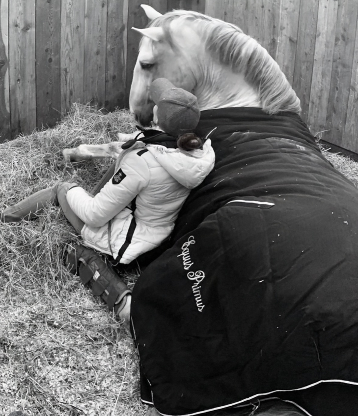 Michaela Ricci: il dressage come equilibrio tra cuore, benessere ed eleganza 3 Michaela Ricci e Zulu