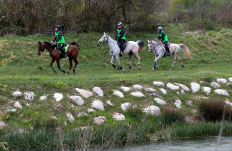 Vittorito, Endurance ad Anelli "SENZA INCROCI": sicurezza, tecnica, qualità del percorso.