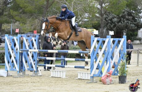 Pasquale Debernardis