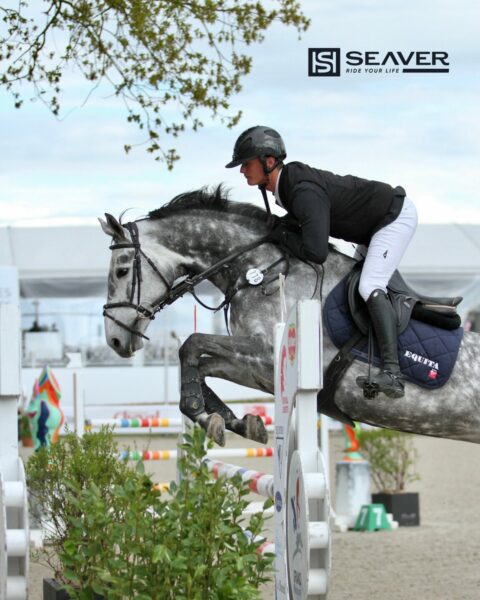 Seaver protezioni amahorse 3