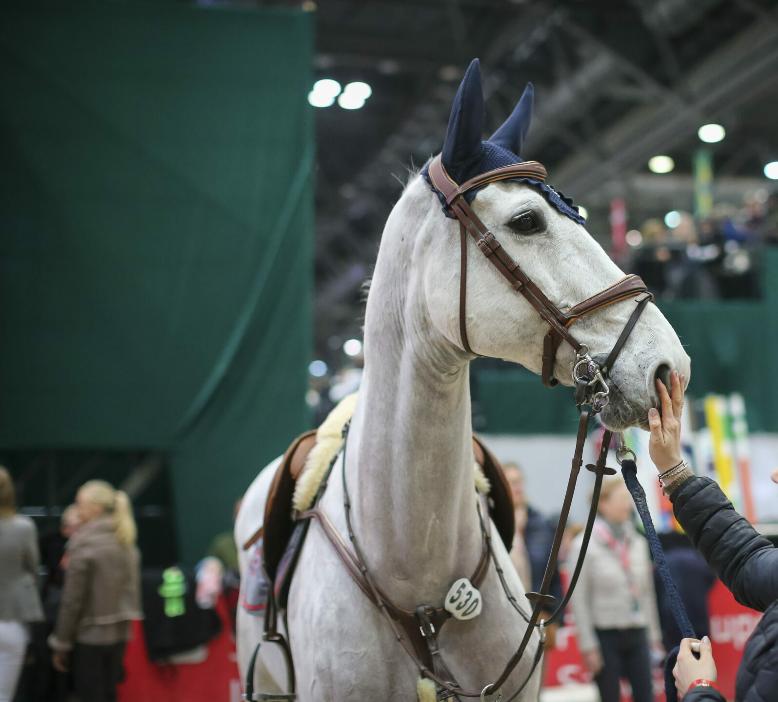 SelleriaEquipe GoldenSuddle Leipzig2023 20230121 SS7 5693 e1768383628841
