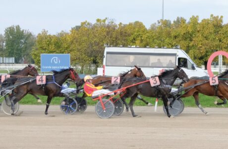 TROTTO IPPODROMO SNAI SAN SIRO MILANO