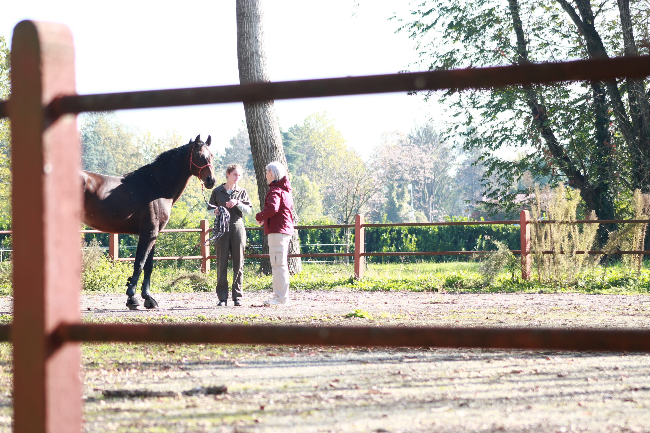 Veteducation Aurora 8