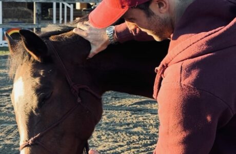 b047ab87 34b0 48f8 862c 52394a652caf